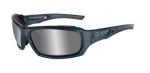 Polarized Models